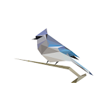 BirdNET: Bird sound identification logo