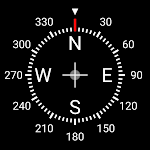 Digital Compass Logo