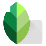 Snapseed Logo
